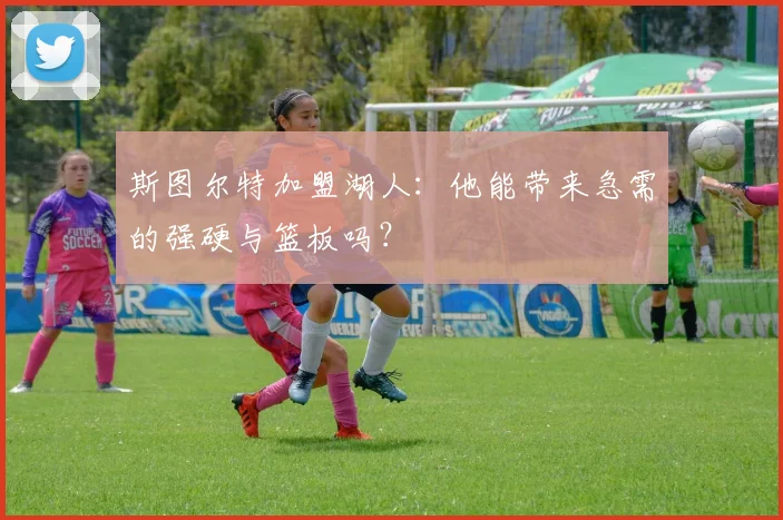 斯图尔特加盟湖人:他能带来急需的强硬与篮板吗?